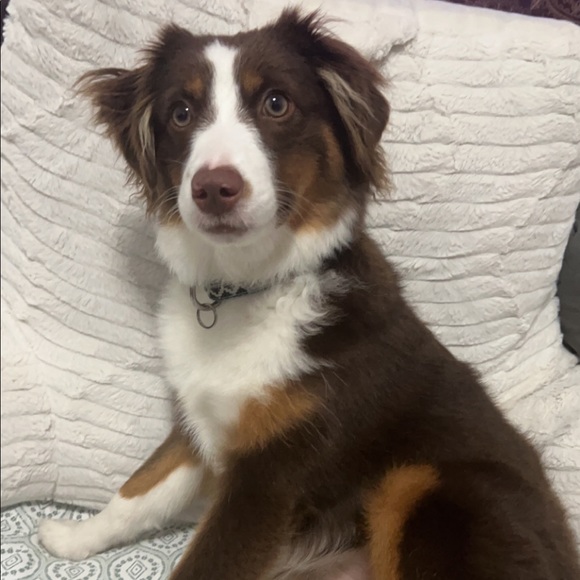 Meet your Posher, Valerie - Picture 9 of 11